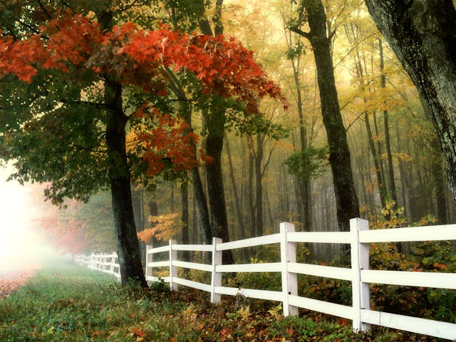 3 Reasons To Try Vinyl Fencing